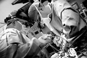 1097909_10151816643043980_1045134225_o