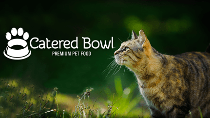 Catered Bowl