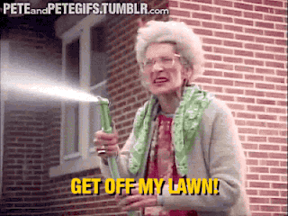 7ed781fdba45276602940a5596dfef68